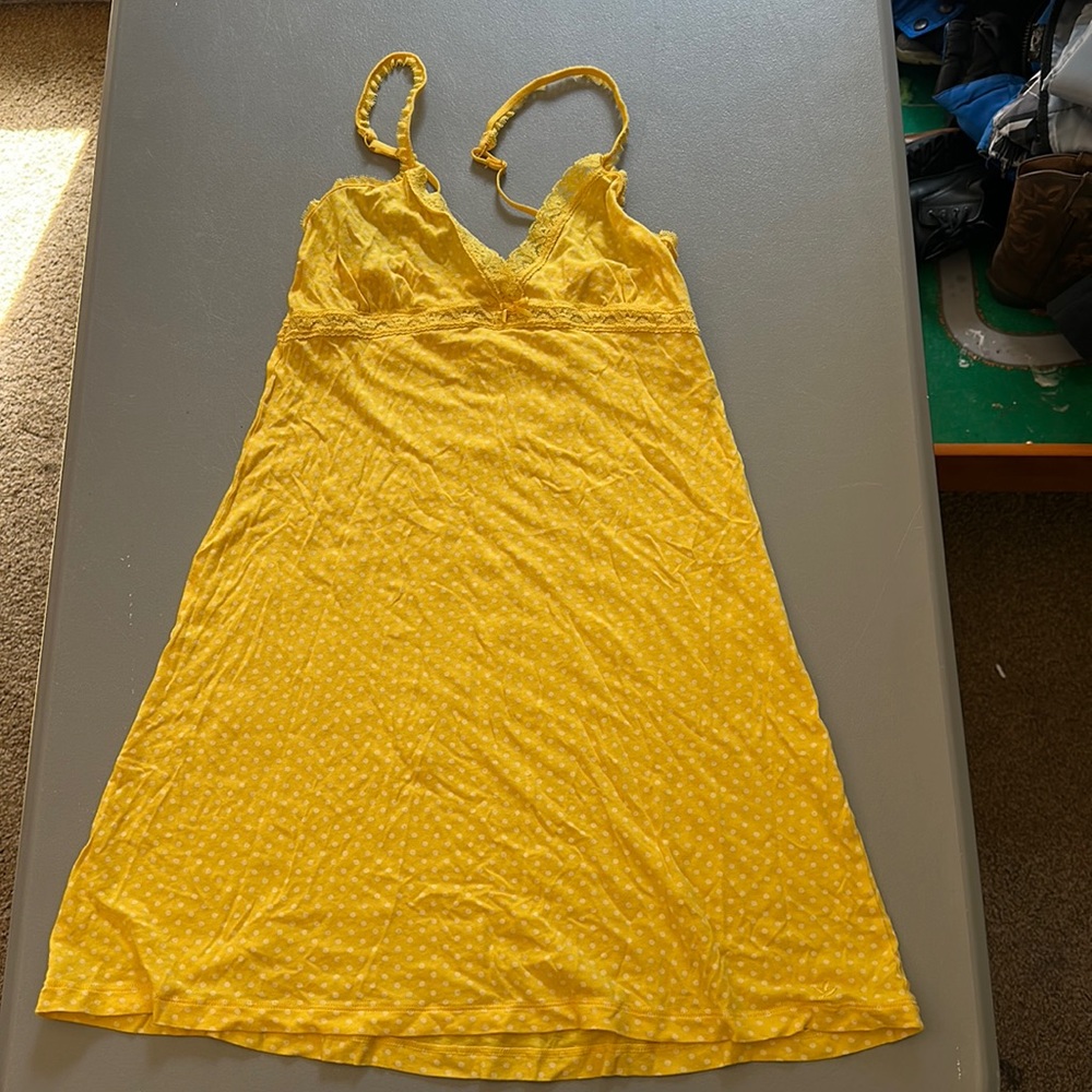 aerie Nightie